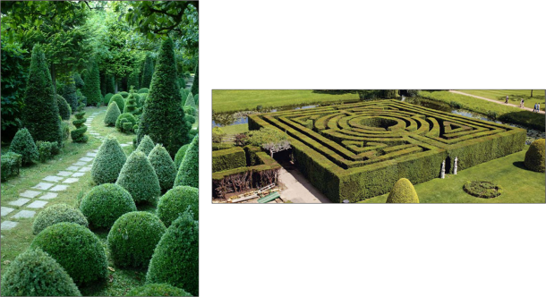 Topiary and Maze from English Gardens