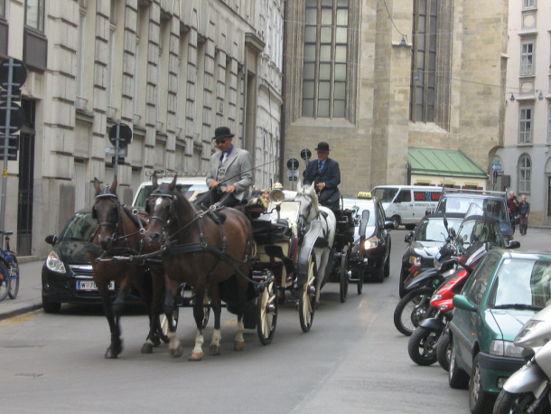 “Fiaker” horse-drawn carriages for tourists making their way through the old city of Vienna