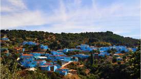 Smurf Village - Metro Square