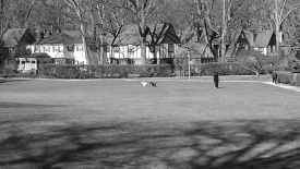 Radburn2011