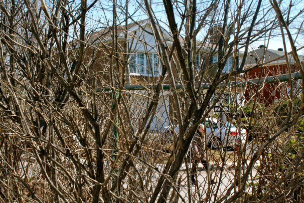 Looking across the fence into the Town of Mont-Royal from Parc-Extension