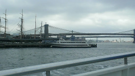 IMAG0290